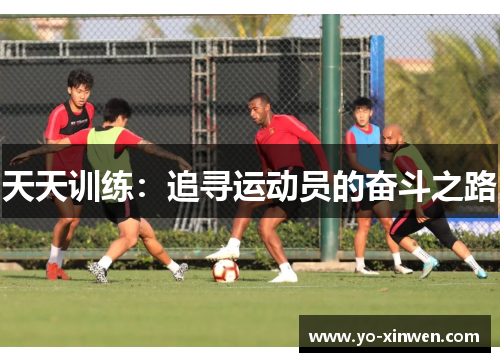 天天训练：追寻运动员的奋斗之路