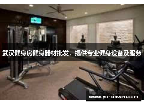 武汉健身房健身器材批发，提供专业健身设备及服务