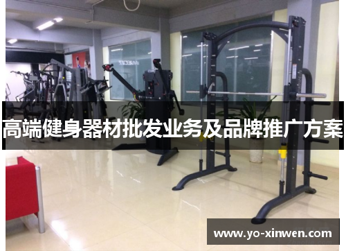高端健身器材批发业务及品牌推广方案
